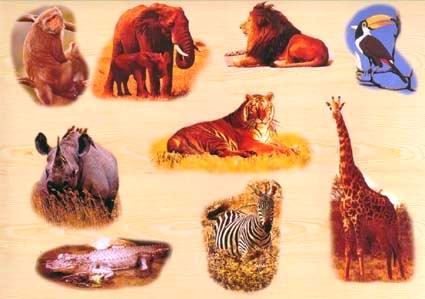 Wooden Jigsaw Puzzle, animals